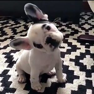 Meet your Posher, Valeria